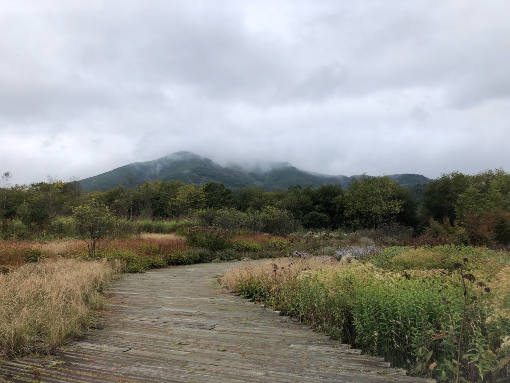 b*u様 令和6年度 北海道十勝浦幌産 海のミネラルを浴びて育ちました！エリモ小 b*u様 令和6年度 北海道十勝浦幌産 海のミネラルを