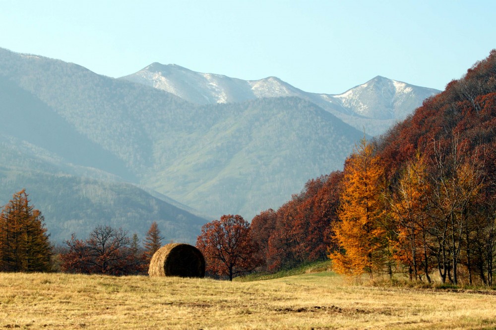 水道秋聖 「千野の池」 水道秋聖 「千野の池」 Tokai Shizen Hodou