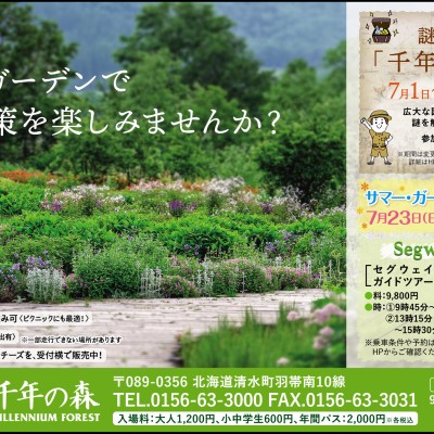 夏のイベント情報