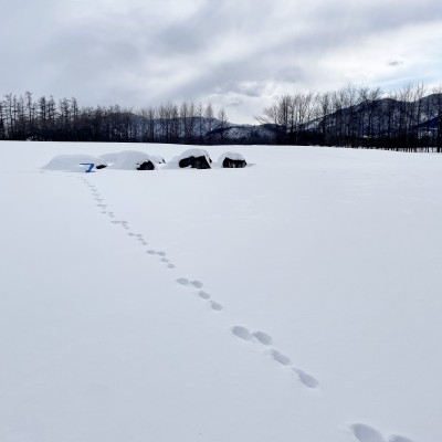 オープンまで、あと１３日
