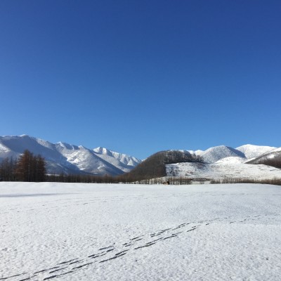 初開催！冬季イベントのご案内