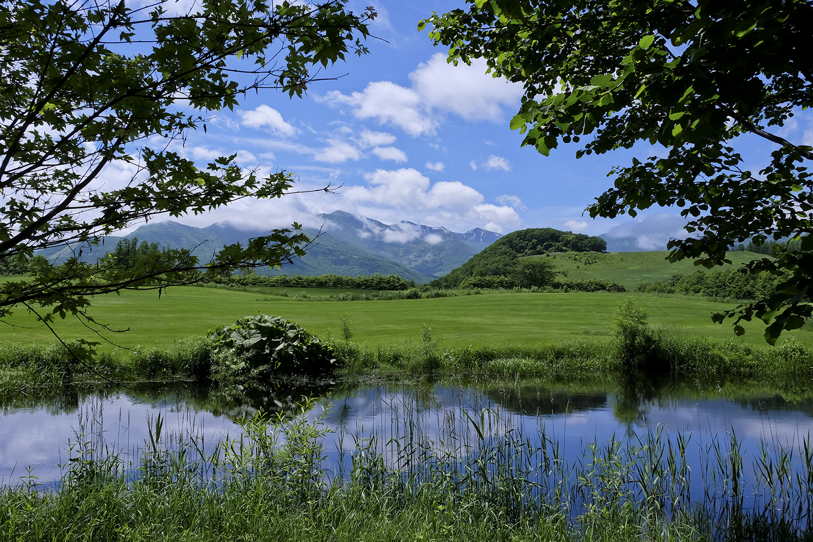 十勝千年の森／アースガーデン