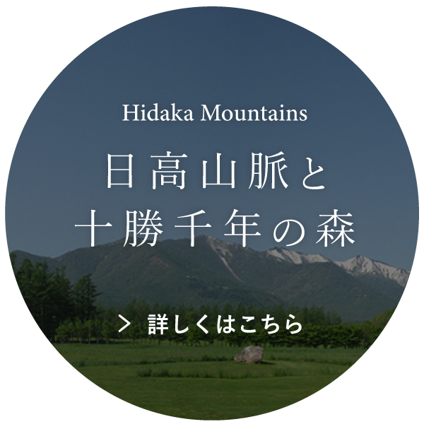 日高山脈と十勝千年の森